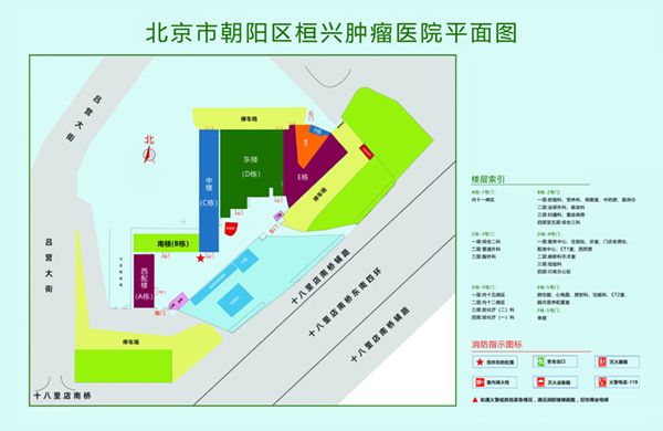 艹逼网址北京市朝阳区桓兴肿瘤医院平面图